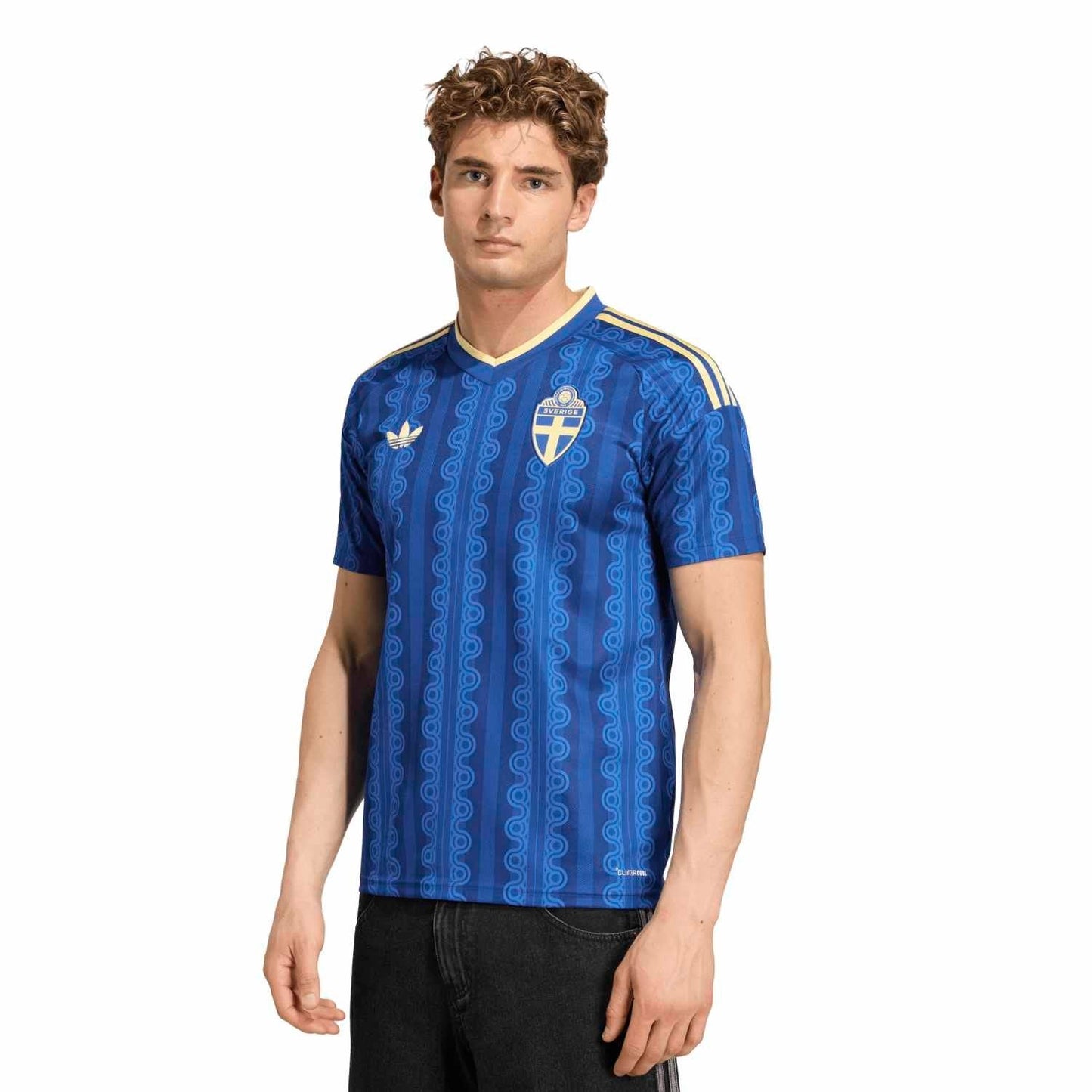 Sweden 2026 Away Jersey - Men's